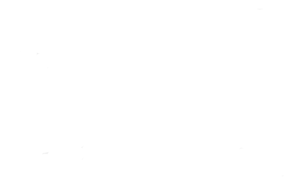 bg_TRANSPARENT_PIC1